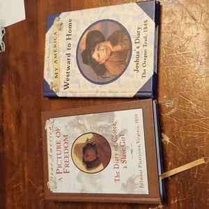 Scholastic Dear America and My America Diaries - Hardcover